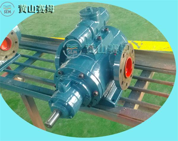 100L常州稀油站循环回路油泵HSNH120-46